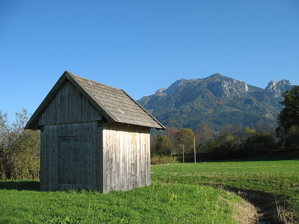 Shed