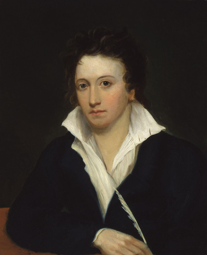 Shelley Turner