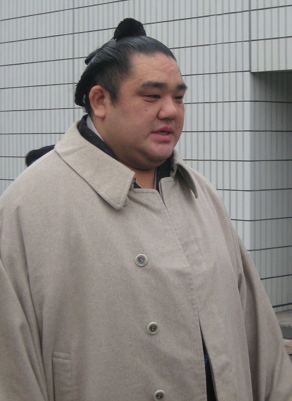 Shinobu Fujiwara