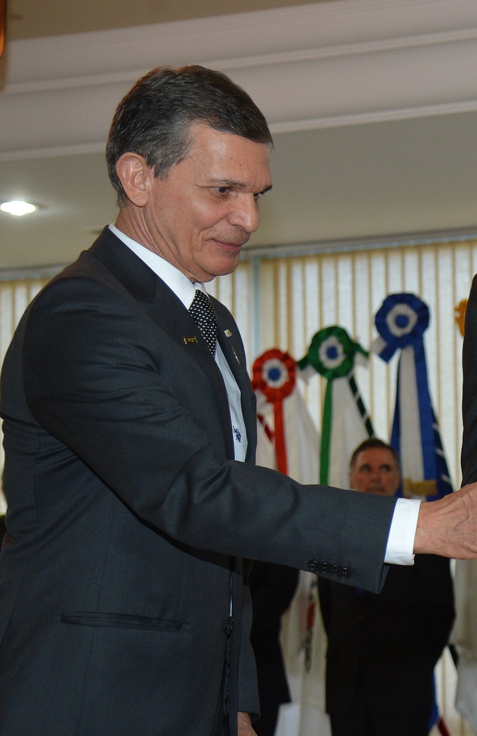 Silva e Luna