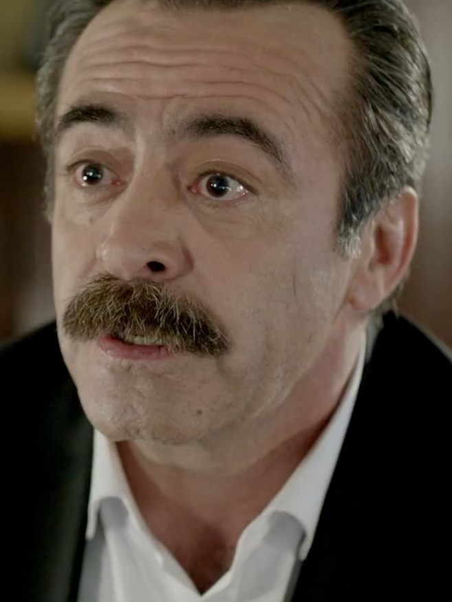 Sinan Ulgen