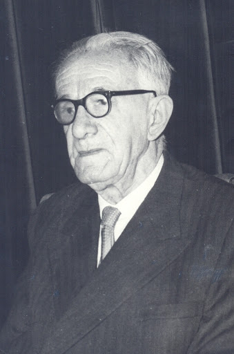 Siniša Stanković