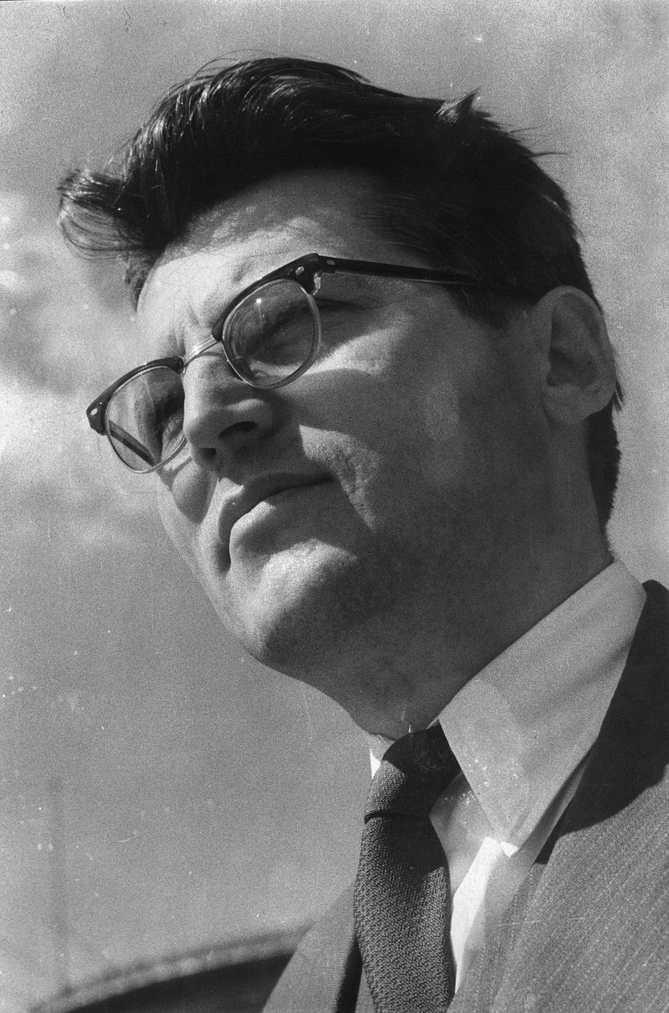 Slavoljub Veselinović