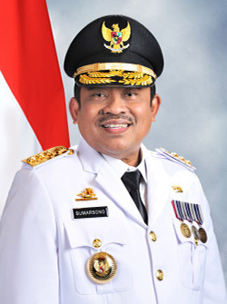 Soni Sumarsono