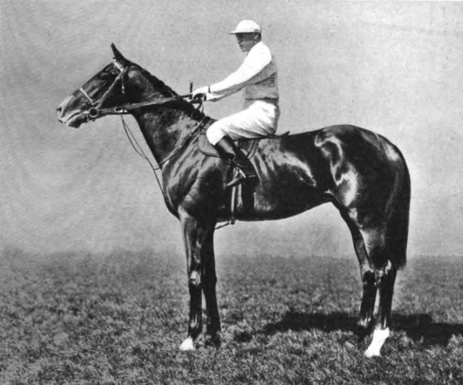 Sophia Djebel Rose