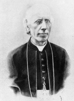 Stefano Di Carlo