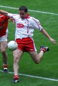 Stephen O’Neill
