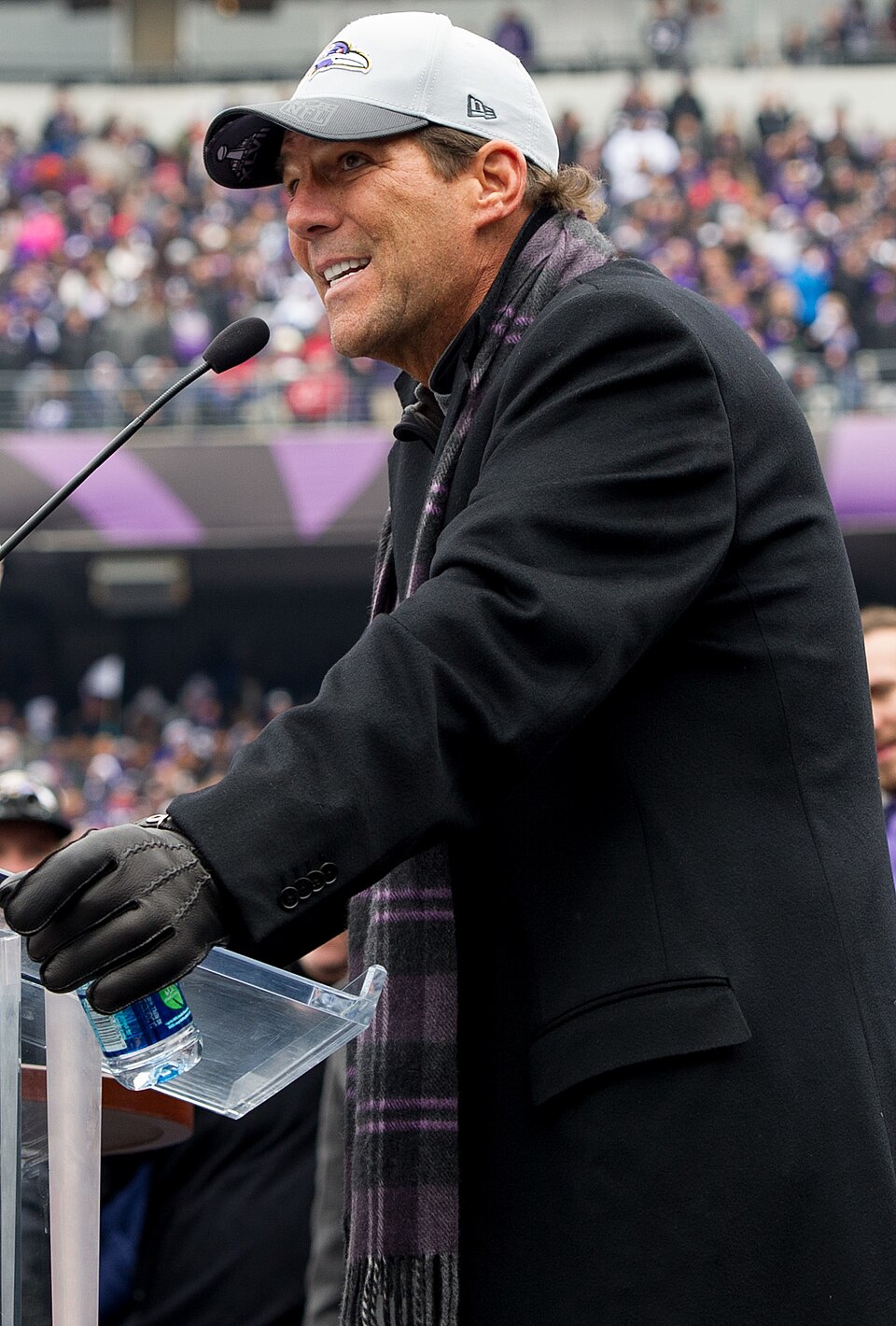 Steve Bisciotti