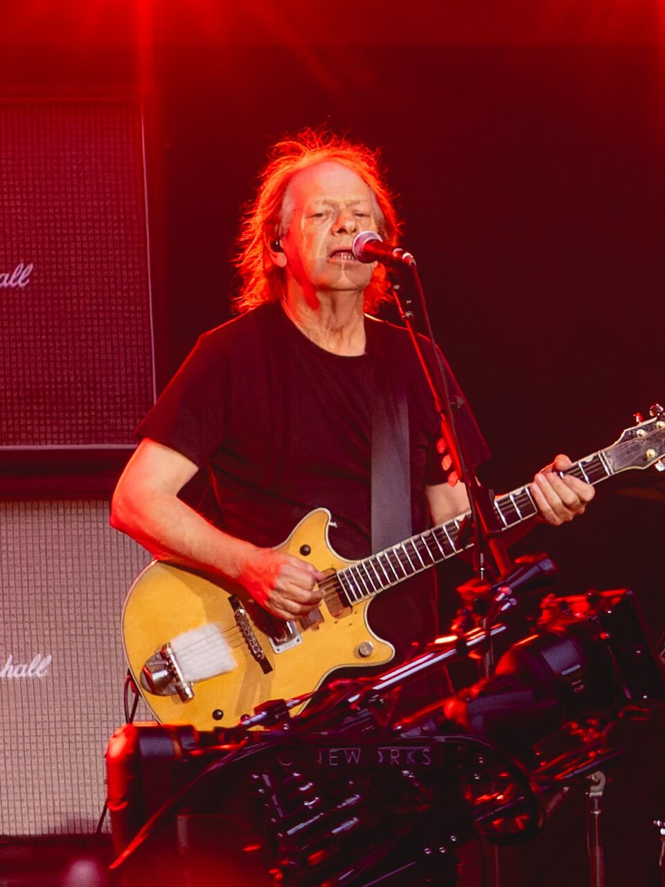 Stevie Young