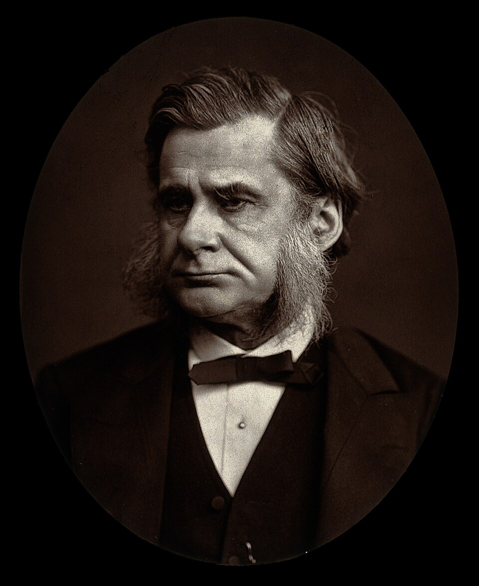 Stuart Huxley