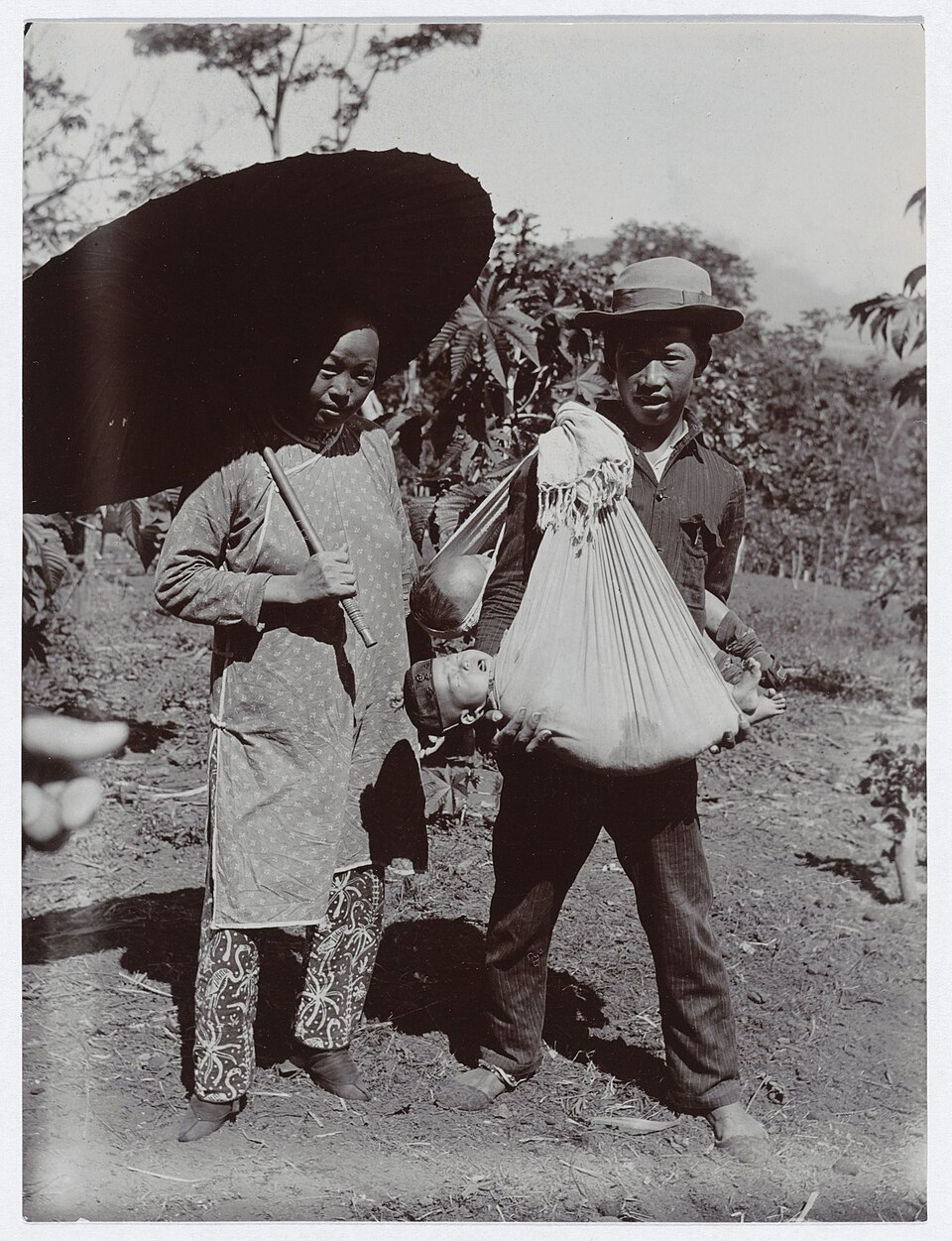 Sugi Lanus