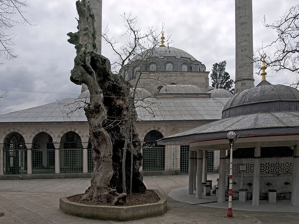 Süleyman Atik