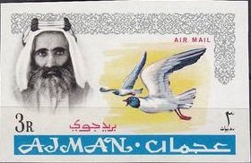Sultan Mohammed Al Nuaimi