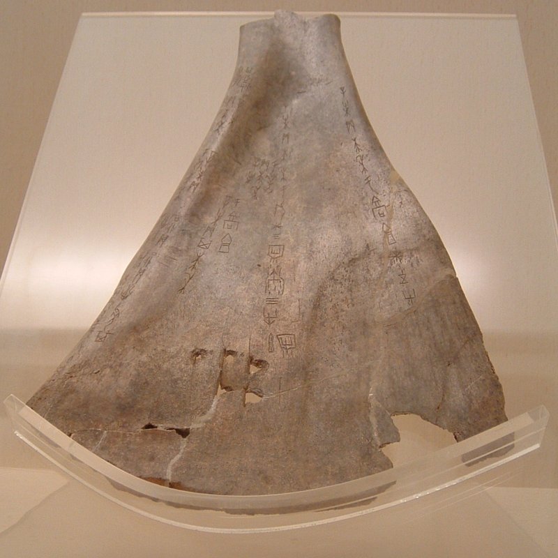 Taily Bone