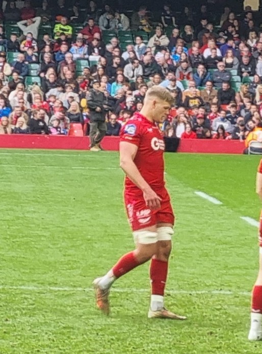 Taine Plumtree