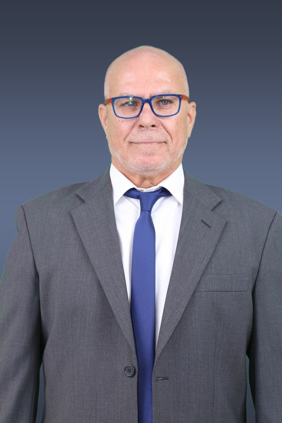 Tal Fogel