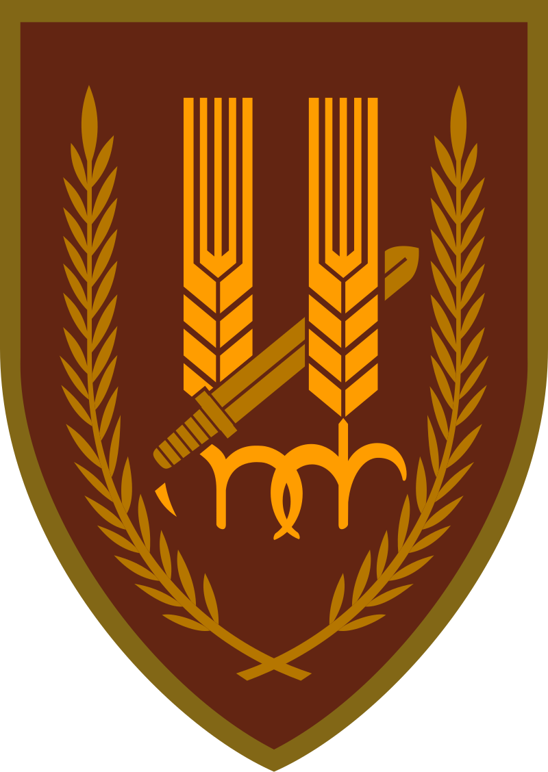 Tal Nachum