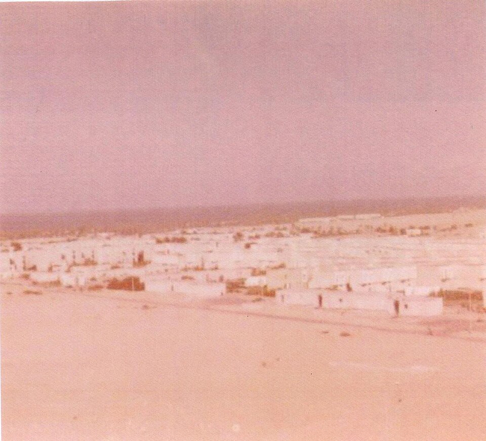 Tal Pri'el