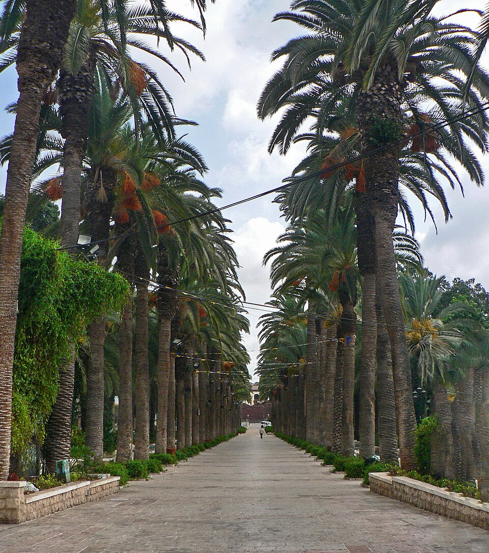 Tal Rishon