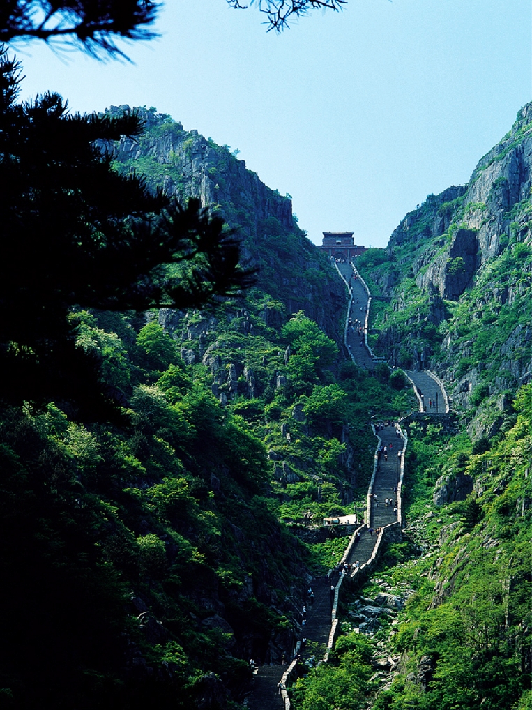 Tang Yuanjun
