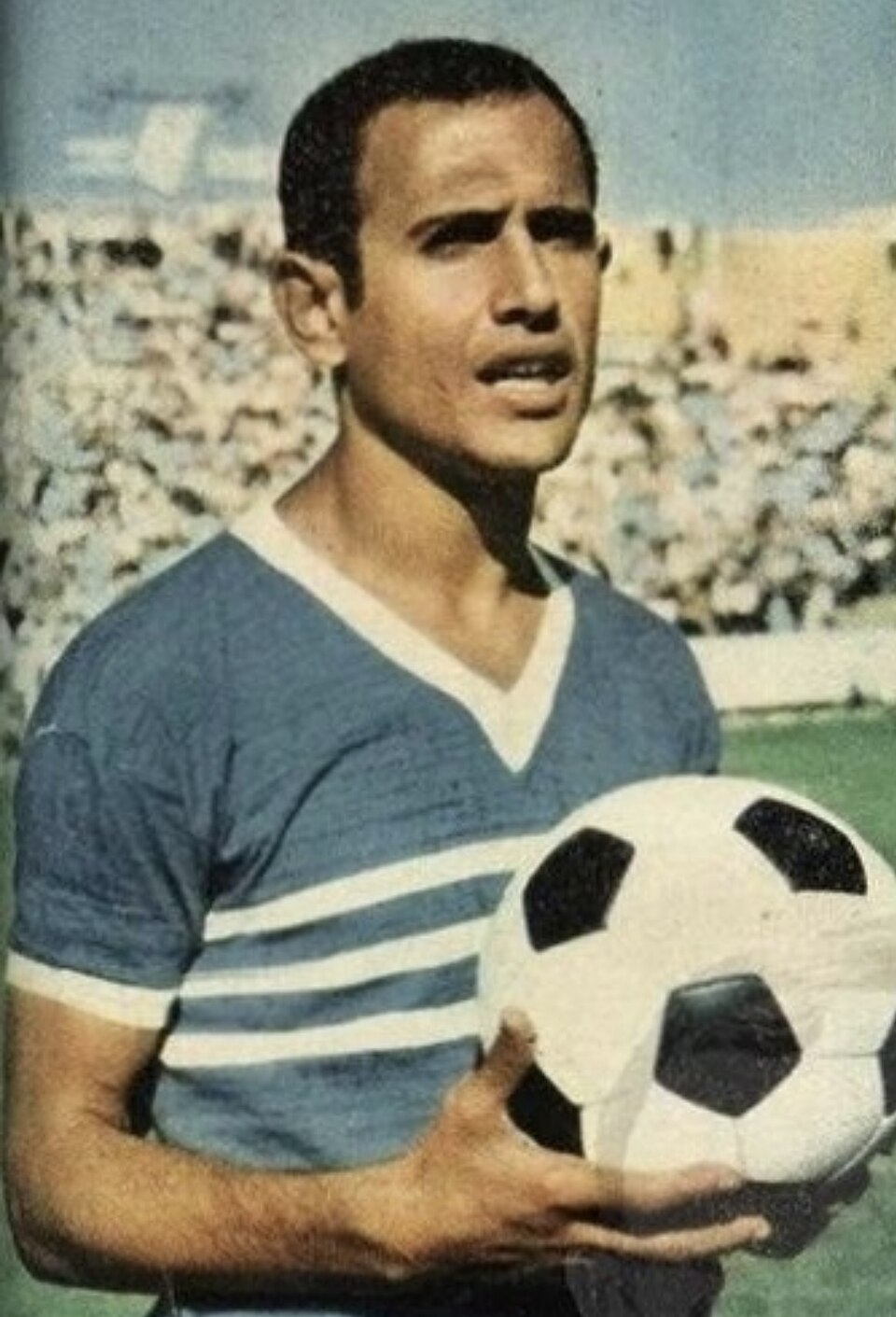 Tarek Al-Shazly