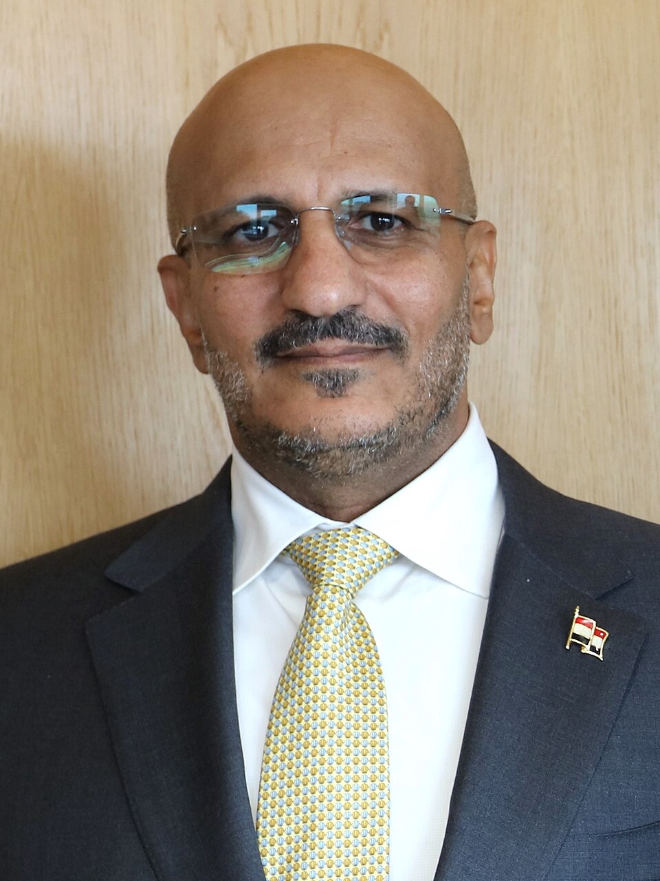 Tareq Saleh