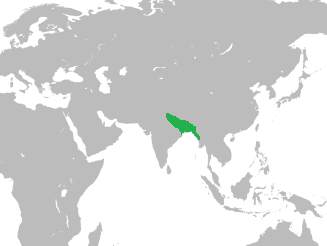 Tauqeer-ul-Haq