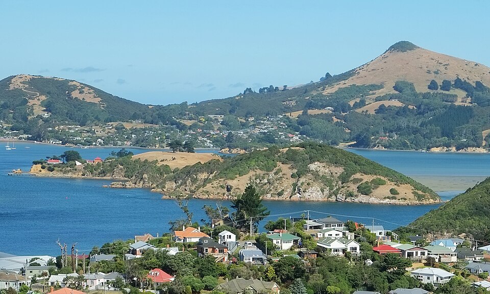 Taurua