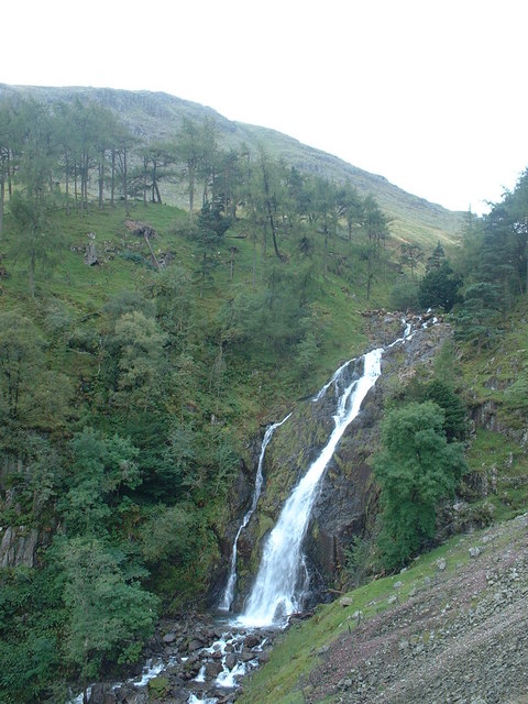 Taylor Gill