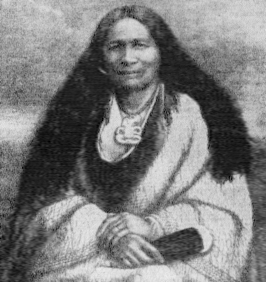 Te Pūoho Kātene