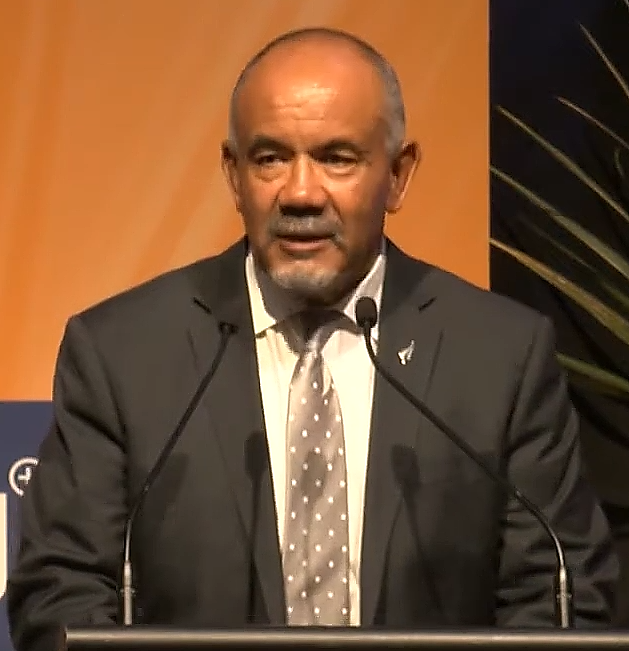 Te Ururoa Flavell