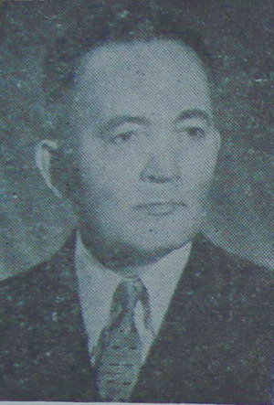 Teodor Bordeianu