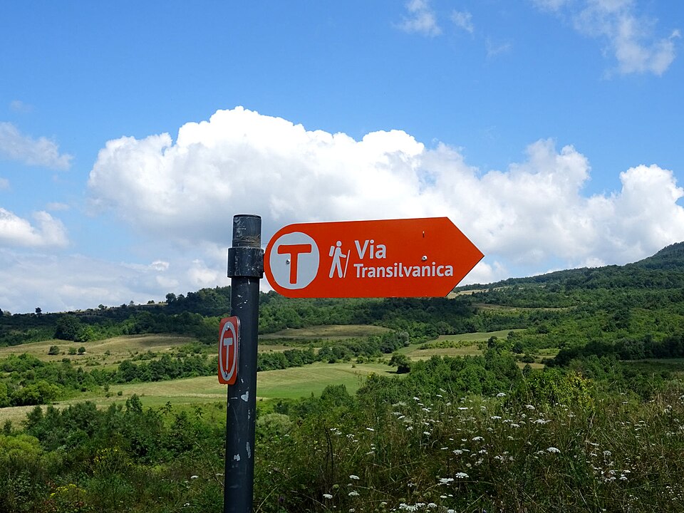 Tiberiu Ușeriu