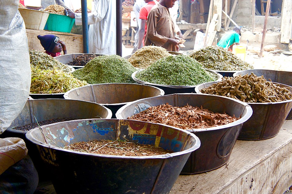 Tijjani Naniya