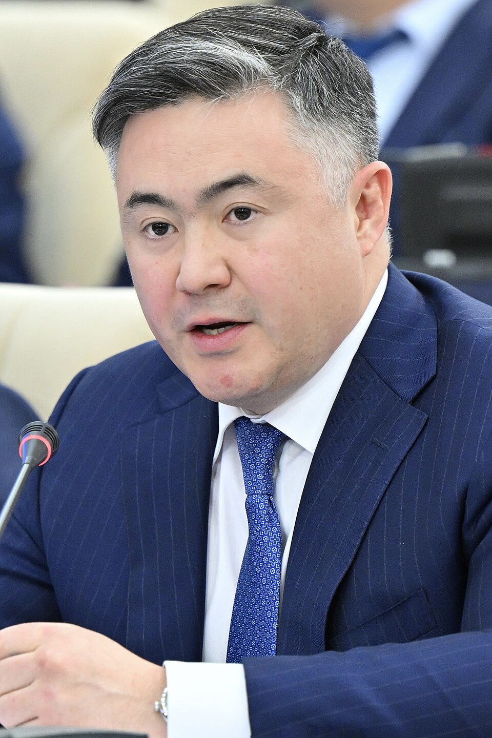 Timur Suleimenov