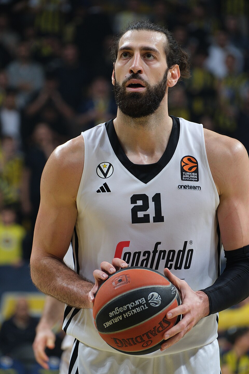Toko Shengelia