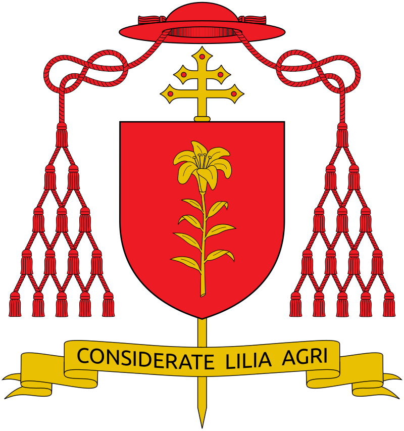 Tolentino Mendonça