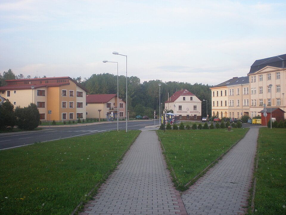 Tomas Svini