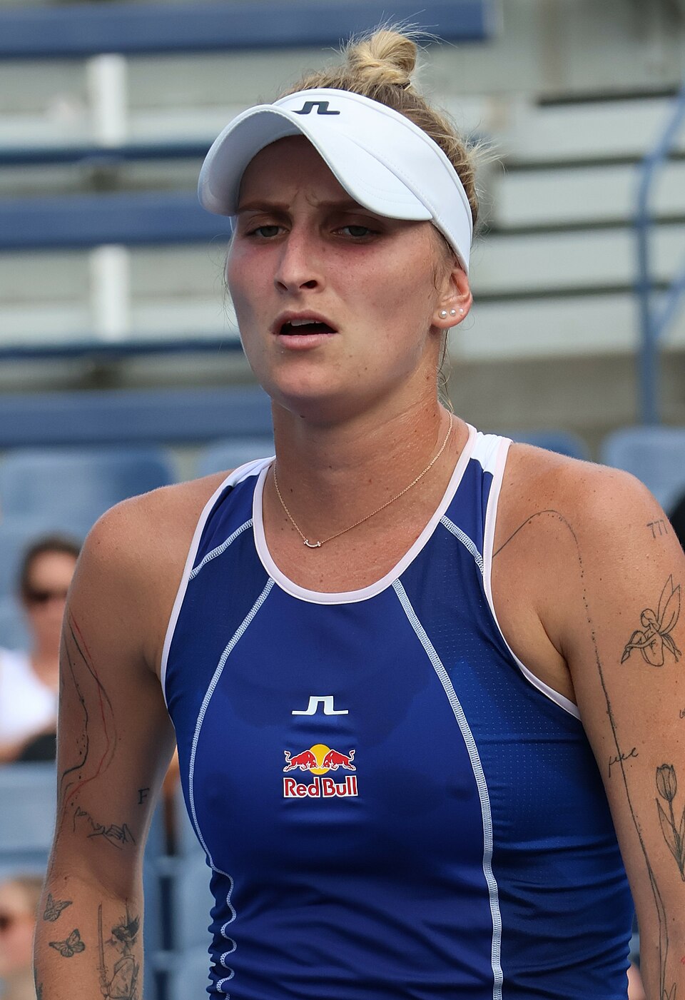 Tomáš Vondrouš