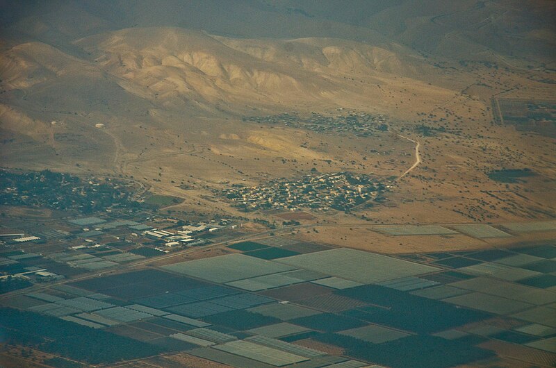 Tomer