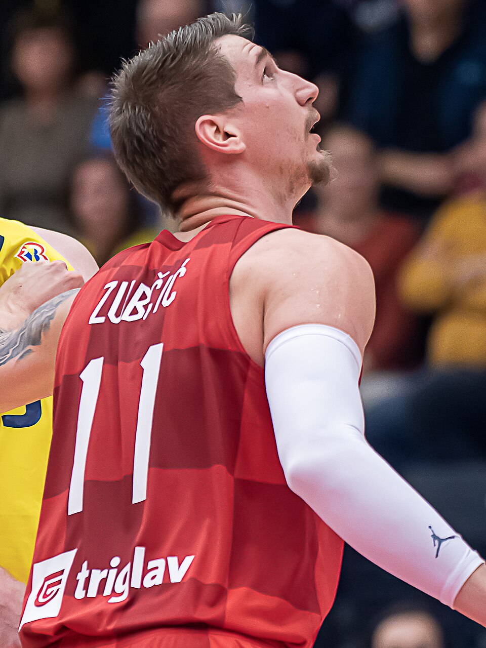 Tomislav Zubčić