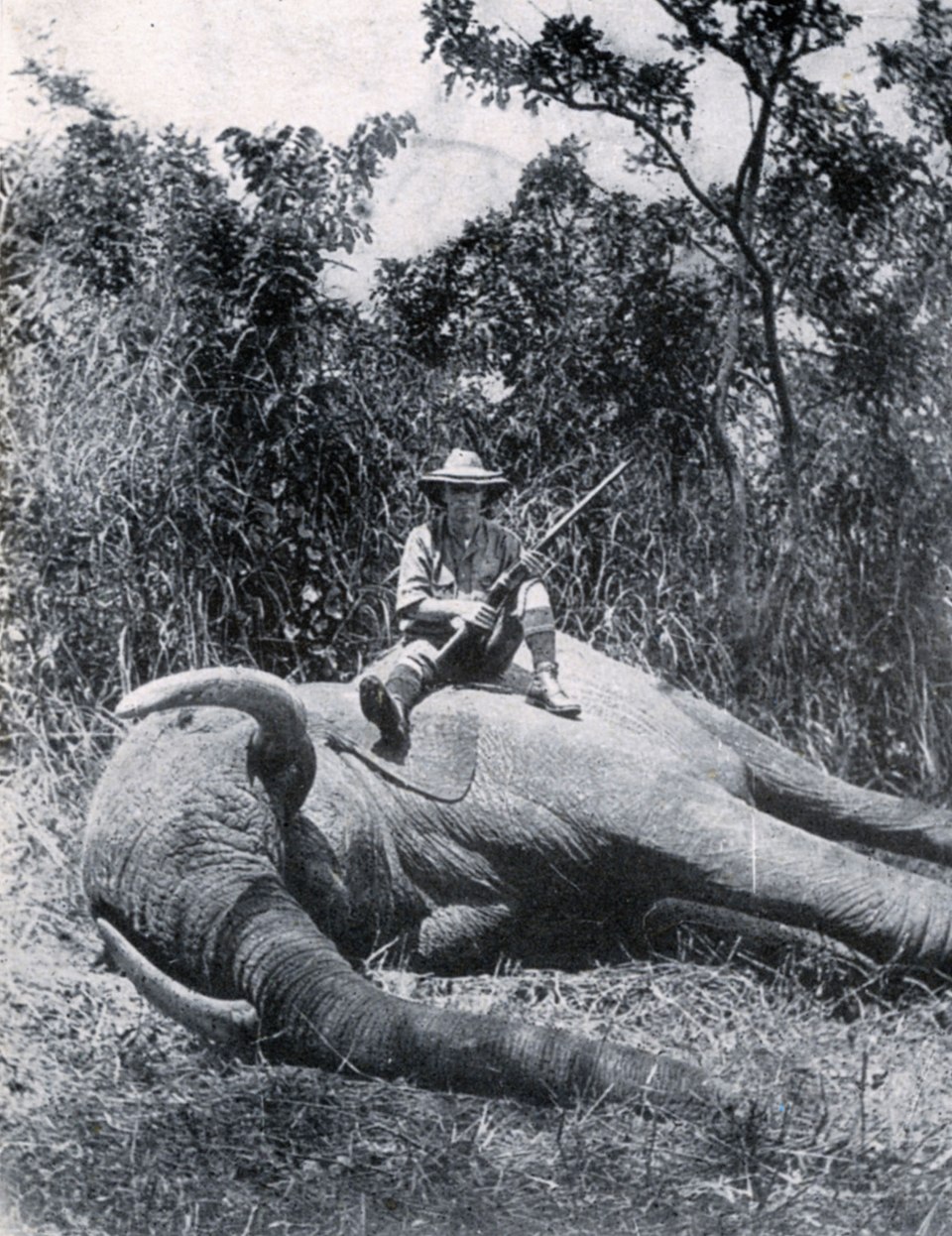 Tony Sánchez-Ariño