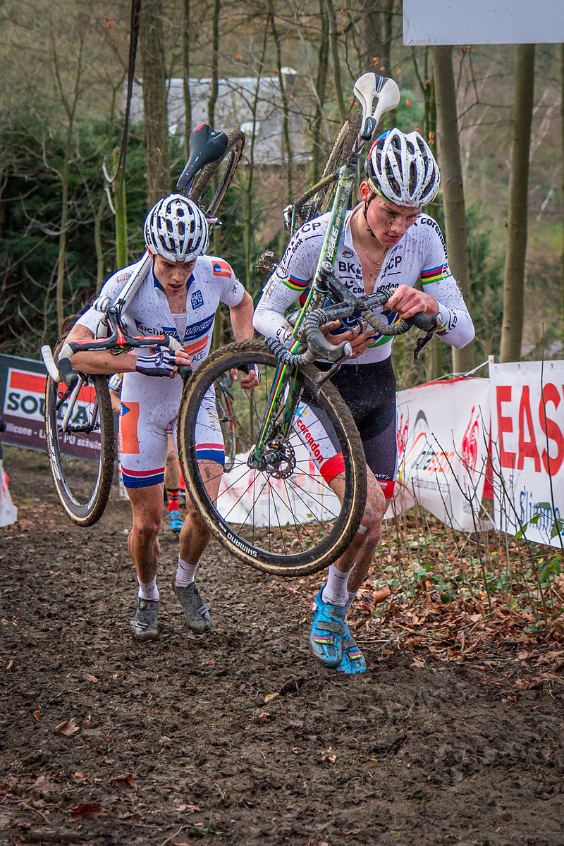 Toon van der Poel