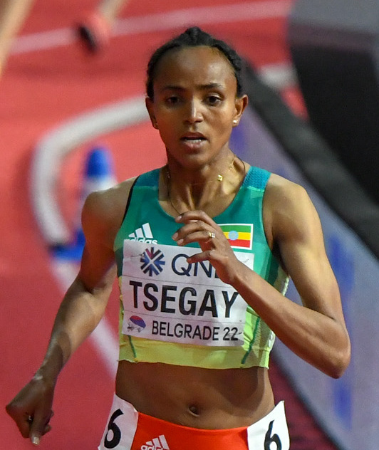 Tsegay