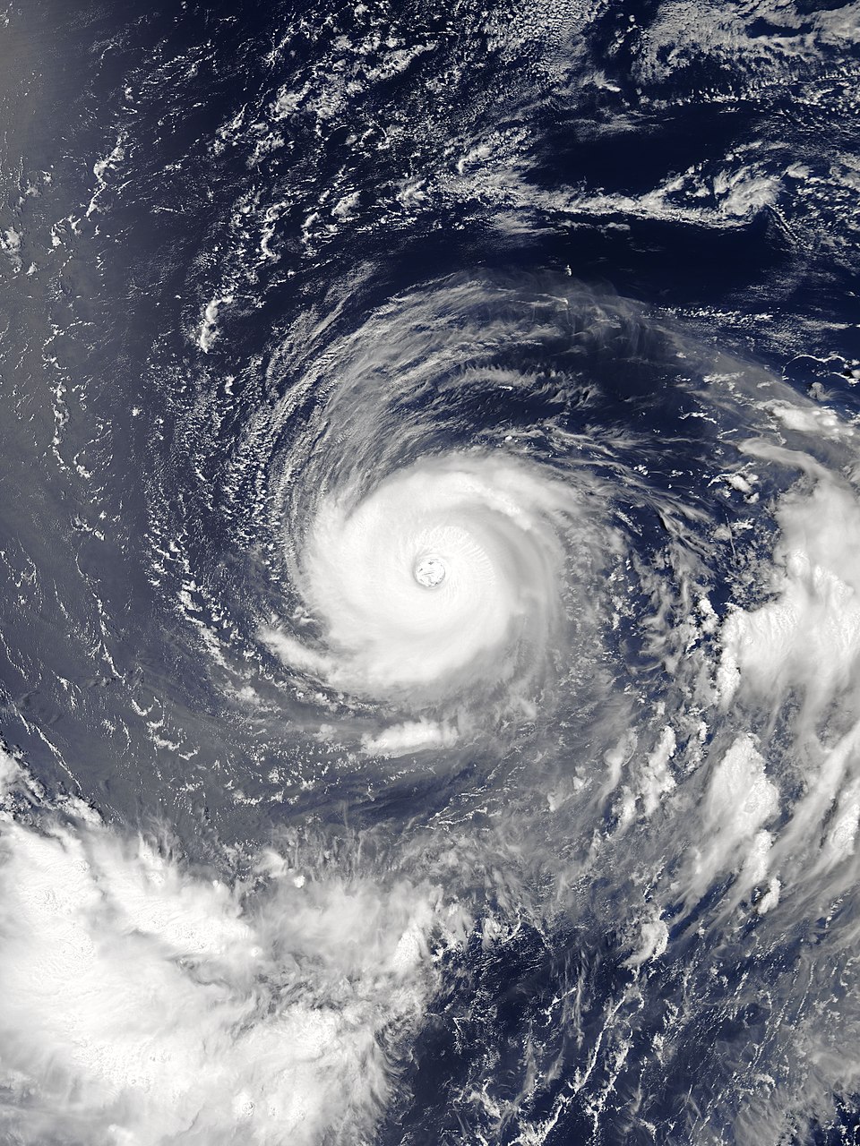Typhoon