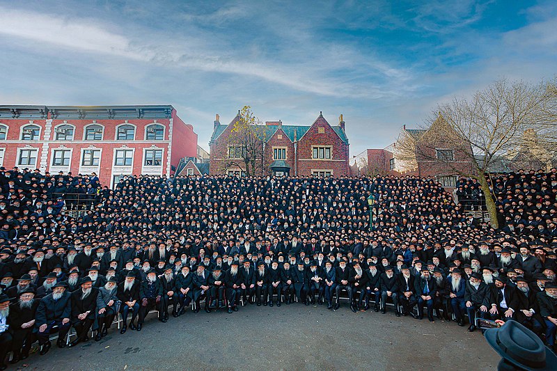 Tzvi Hasid