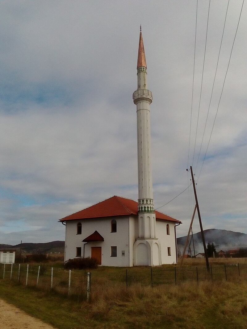 Una Koprivica