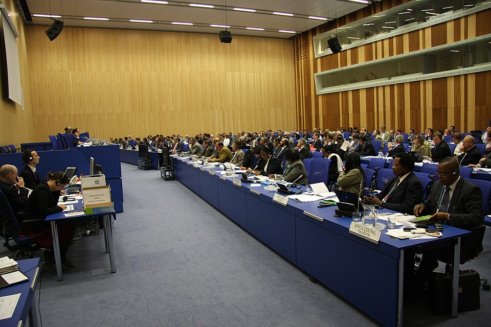 United Nations Experts