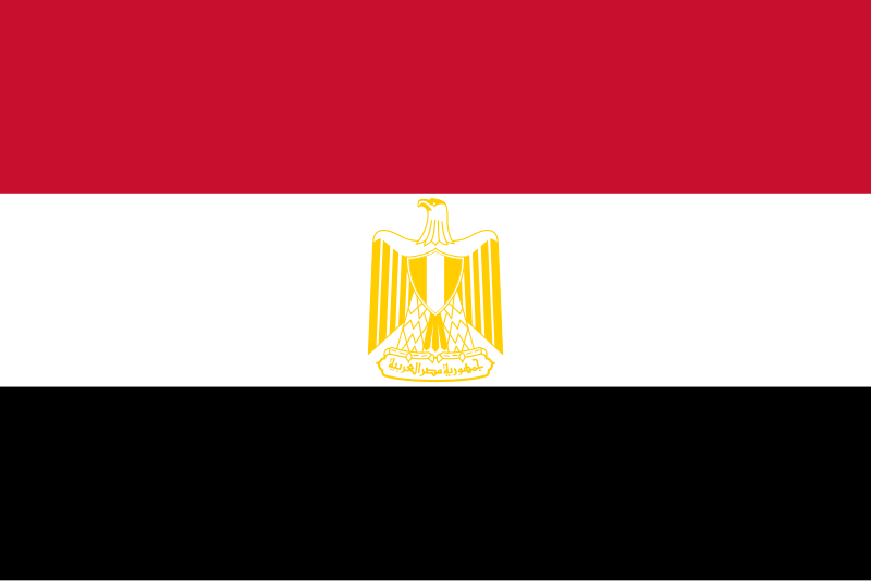 Unknown Egyptian Worker