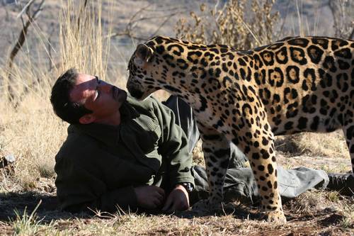 Unknown Lion Owner